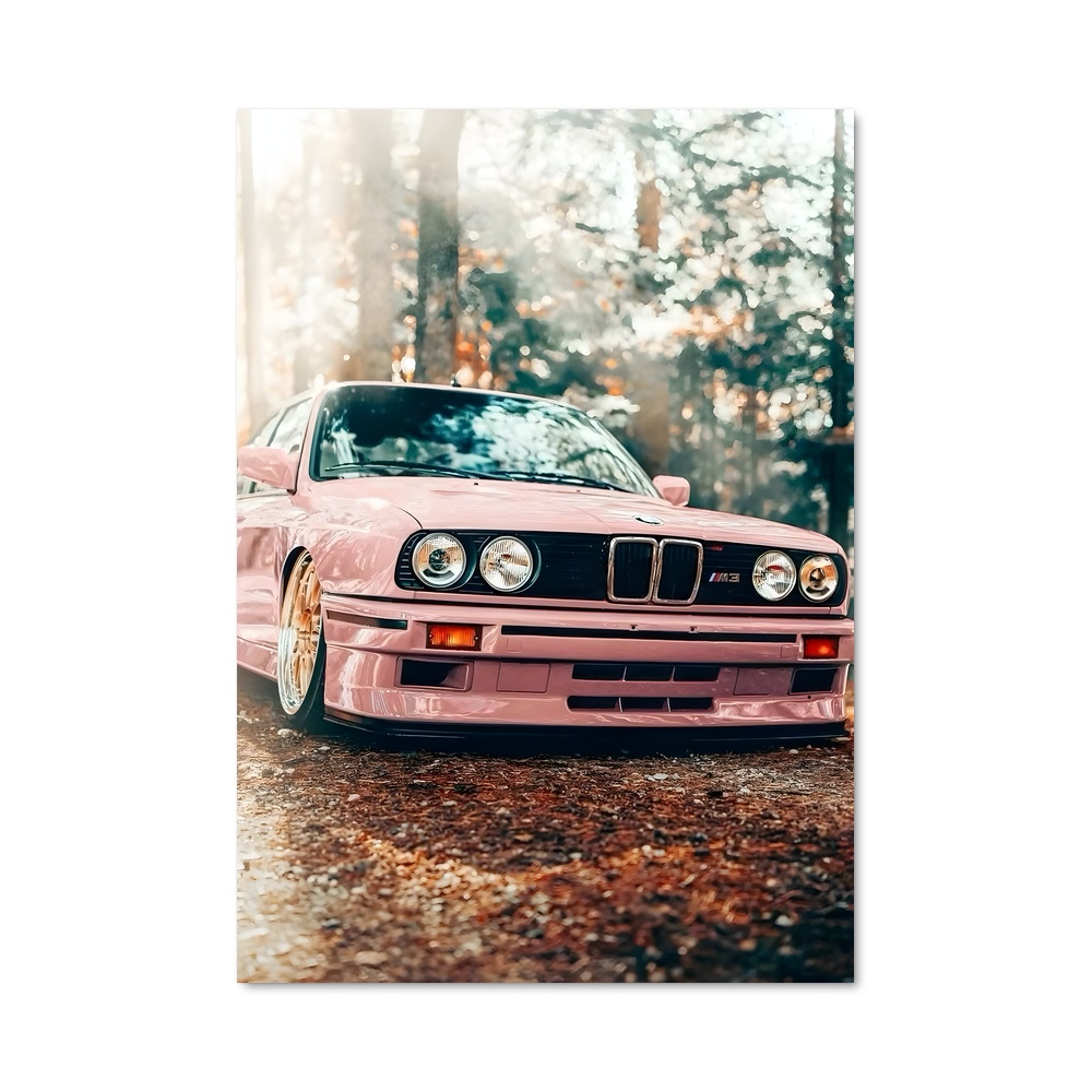 Poster BMW harmonie